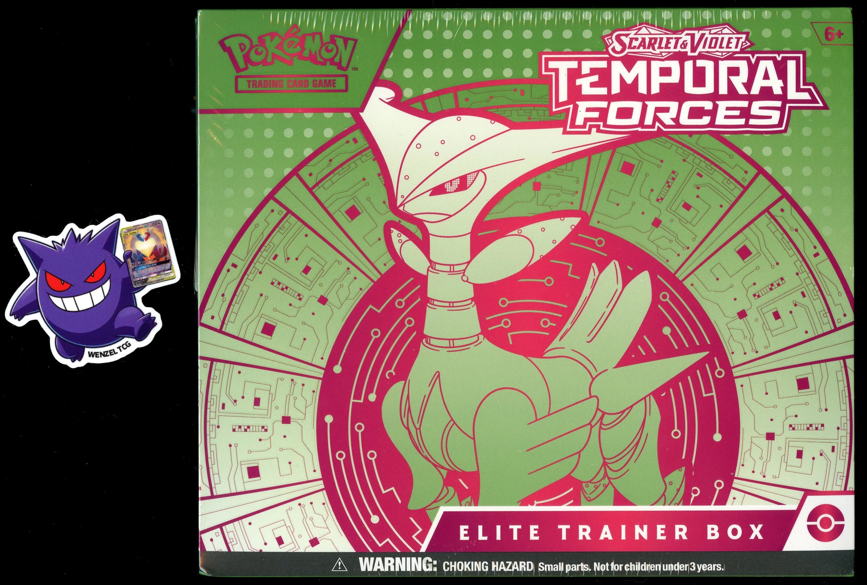 Temporal Forces Elite Trainer Box (Iron Leaves)